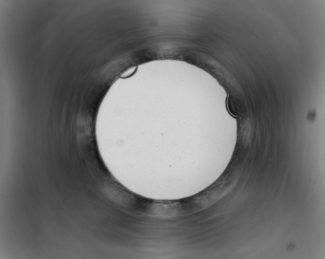 X0000101420571200808041131