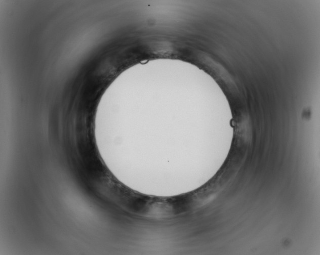 X0000101420572200808041131