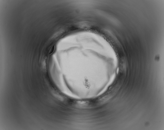 X0000101420573200808041131