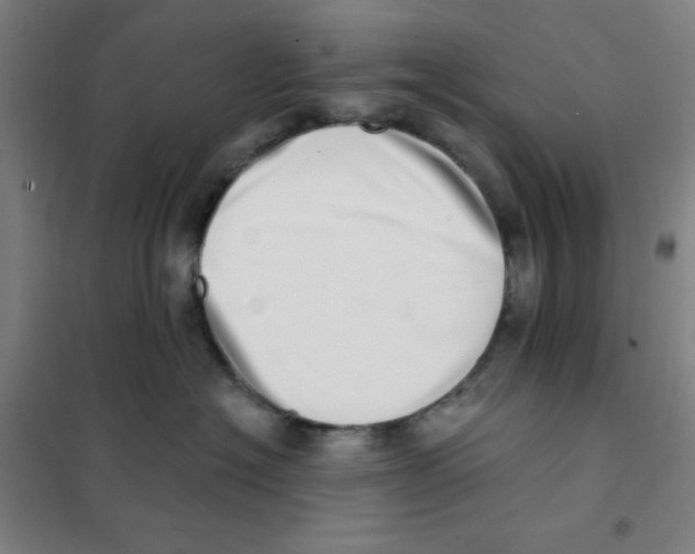 X0000101420574200808041131