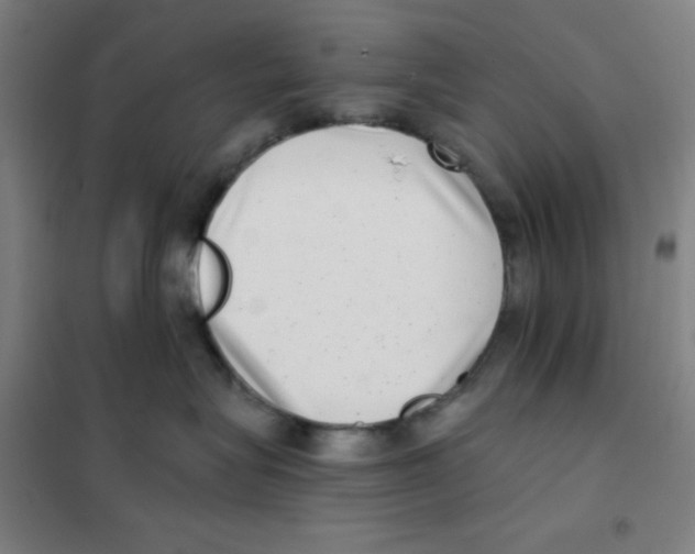 X0000101420575200808041131