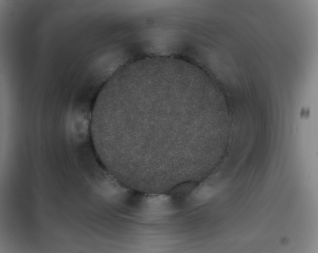 X0000101420576200808041131