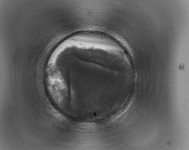 X0000101420577200808041130