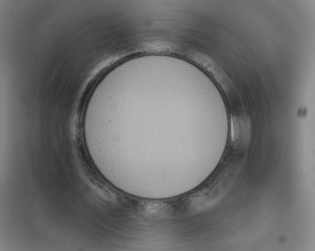 X0000101420579200808041130