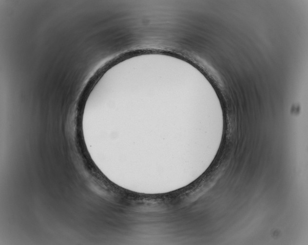 X0000101420580200808041130