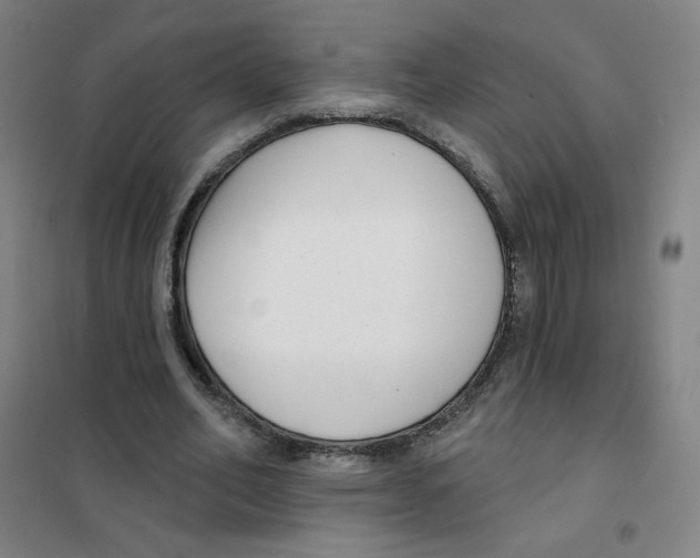 X0000101420582200808041130