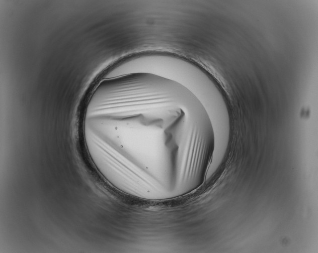 X0000101420584200808041130