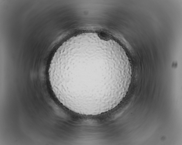 X0000101420585200808041130