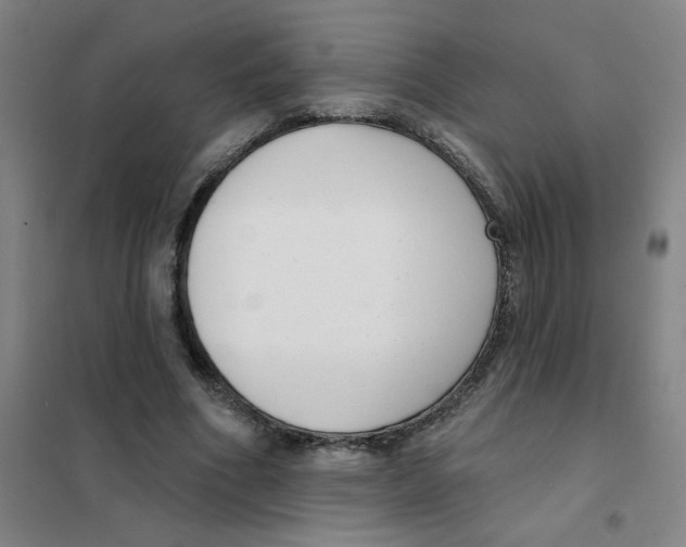 X0000101420586200808041130