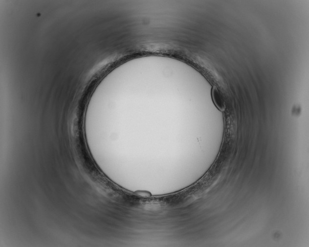 X0000101420587200808041130