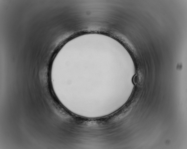 X0000101420588200808041130