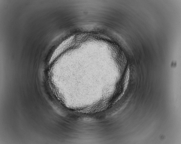 X0000101420590200808041130