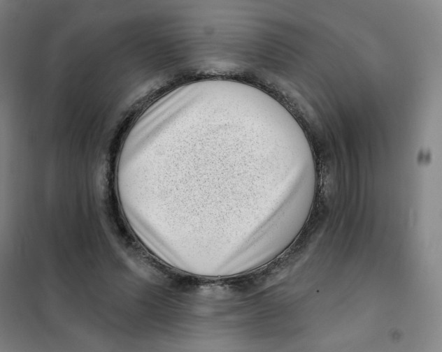 X0000101420591200808041130