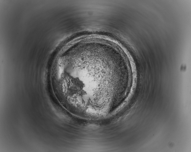 X0000101420592200808041130