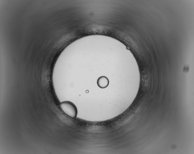 X0000101420593200808041130
