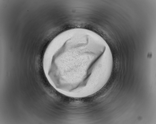 X0000101420594200808041130