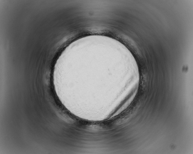 X0000101420596200808041130