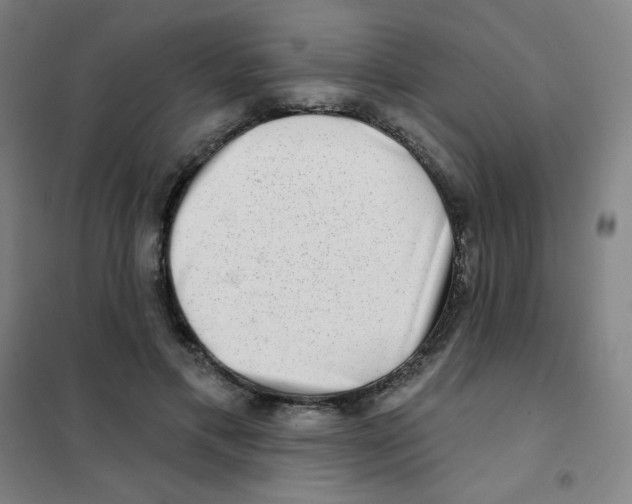 X0000101420597200808041130