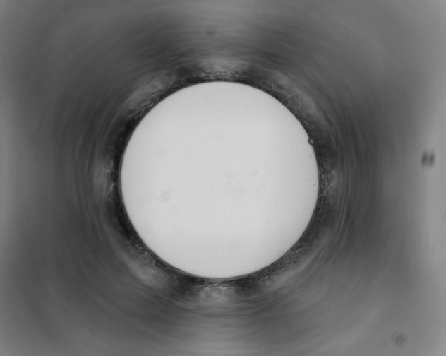 X0000101420599200808041130