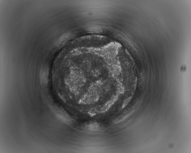 X0000101420600200808041130