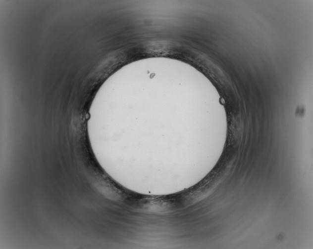 X0000101420601200808041130
