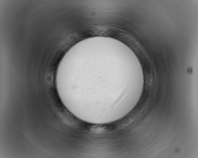X0000101420602200808041130