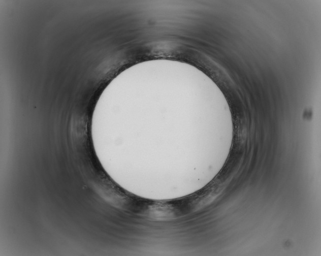 X0000101420603200808041130