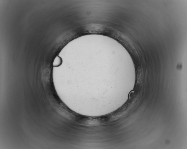 X0000101420604200808041130