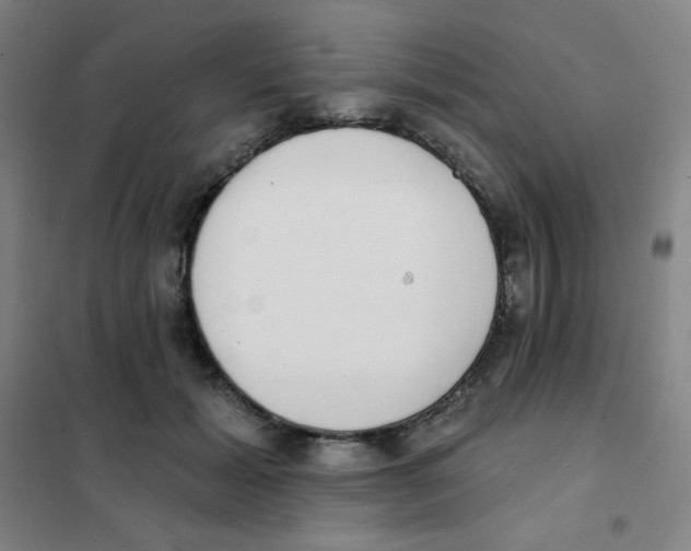 X0000101420605200808041130