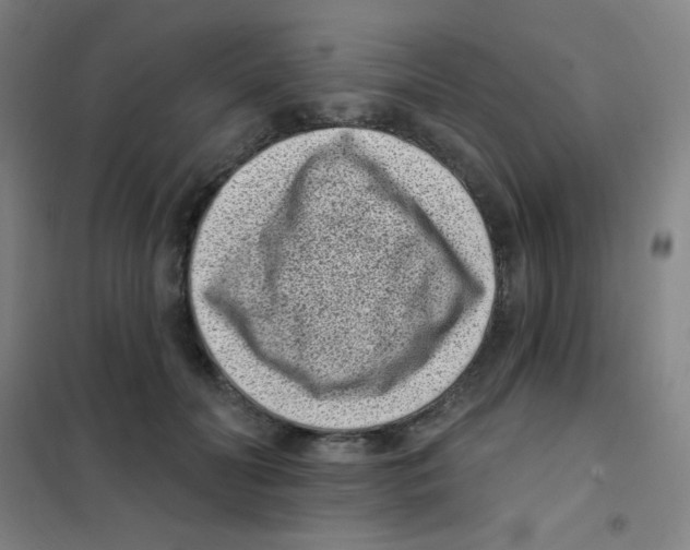 X0000101420606200808041130