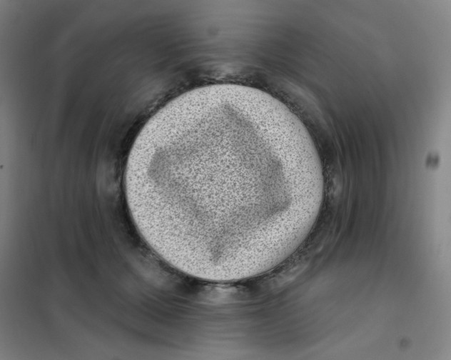 X0000101420607200808041130