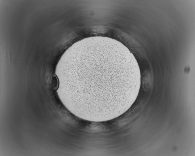 X0000101420608200808041130