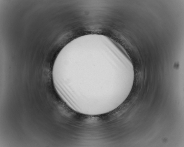 X0000101420609200808041130