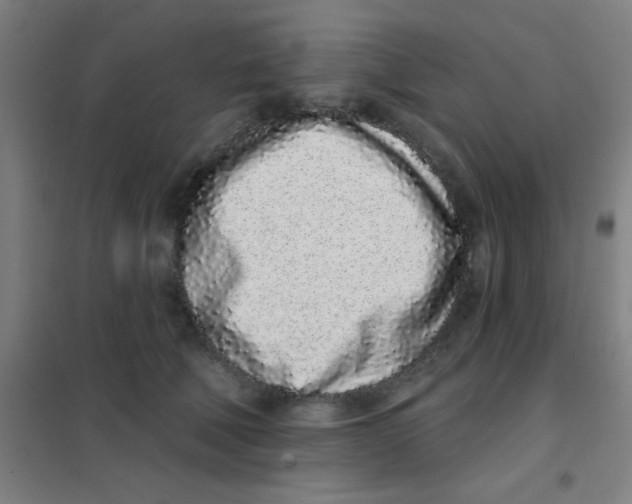 X0000101420610200808041129
