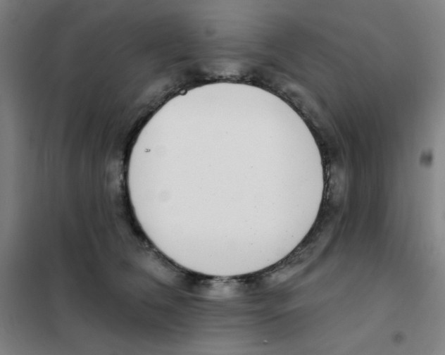 X0000101420612200808041129