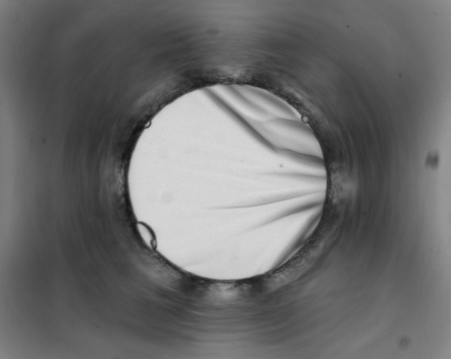 X0000101420613200808041129