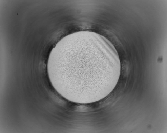 X0000101420614200808041129