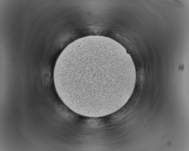 X0000101420615200808041129