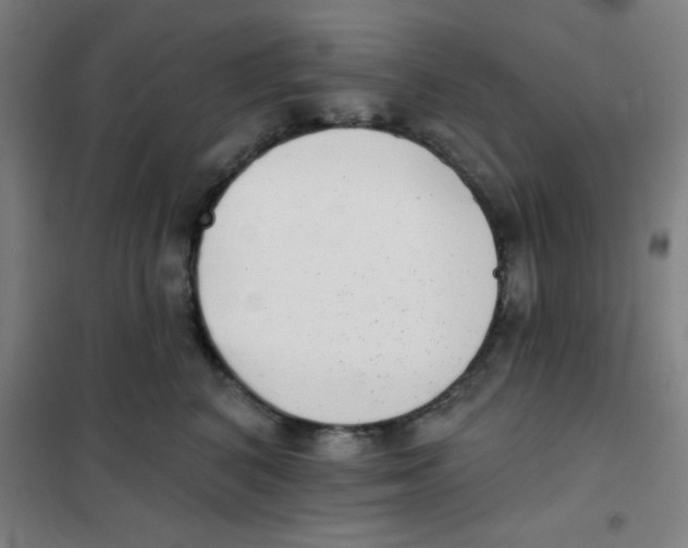 X0000101420616200808041129