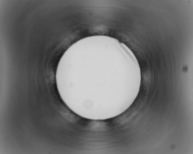 X0000101420617200808041129