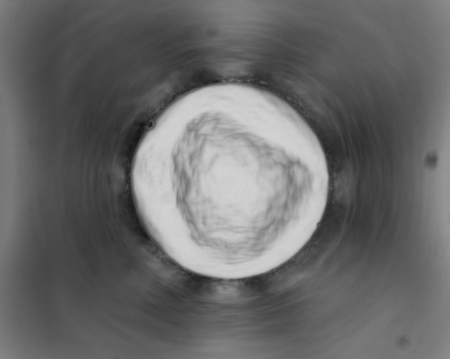 X0000101420618200808041129