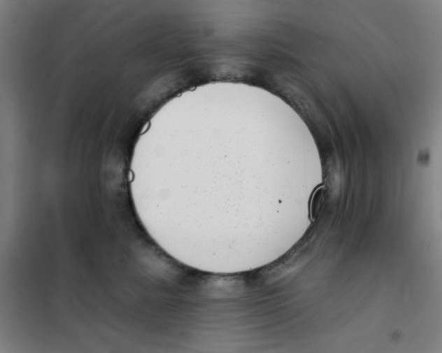 X0000101420619200808041129