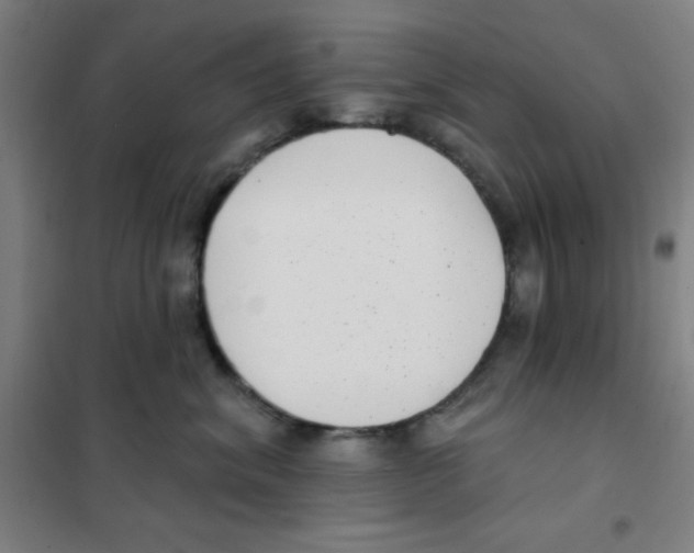 X0000101420620200808041129