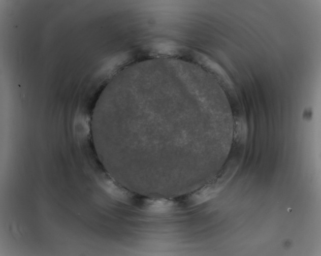 X0000101420621200808041129
