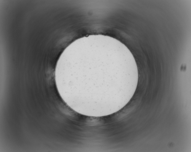 X0000101420624200808041129