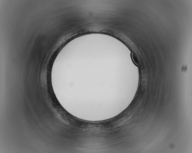 X0000101420626200808041129