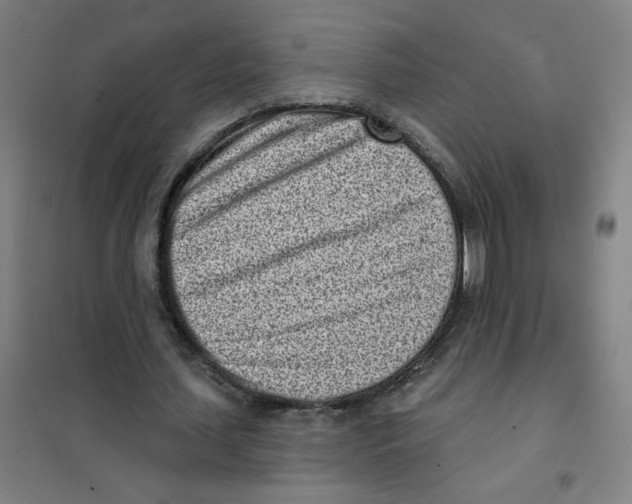 X0000101420627200808041129