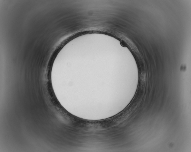 X0000101420628200808041129