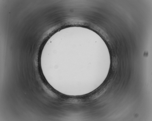 X0000101420629200808041129