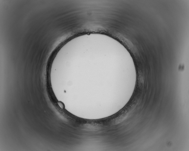 X0000101420630200808041129